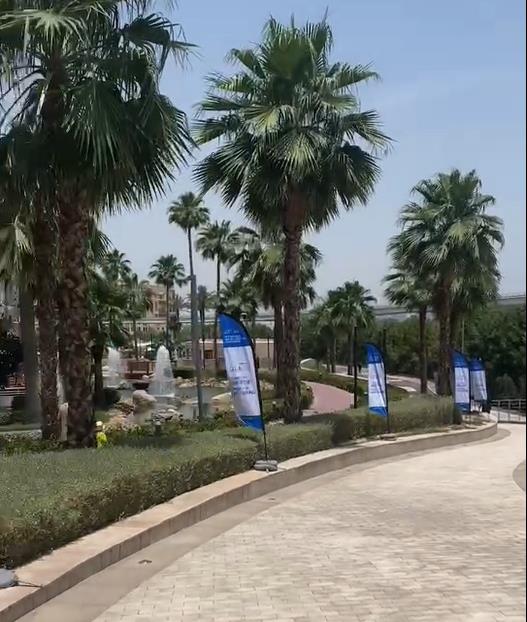 Rentals Outdoor Advertising Blade Flag for Business Outside